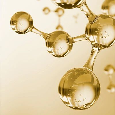 homatcha_antioxidantien